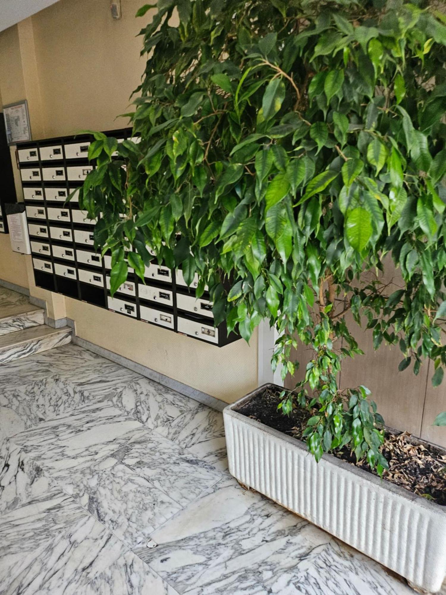 Appartamento Ouest *